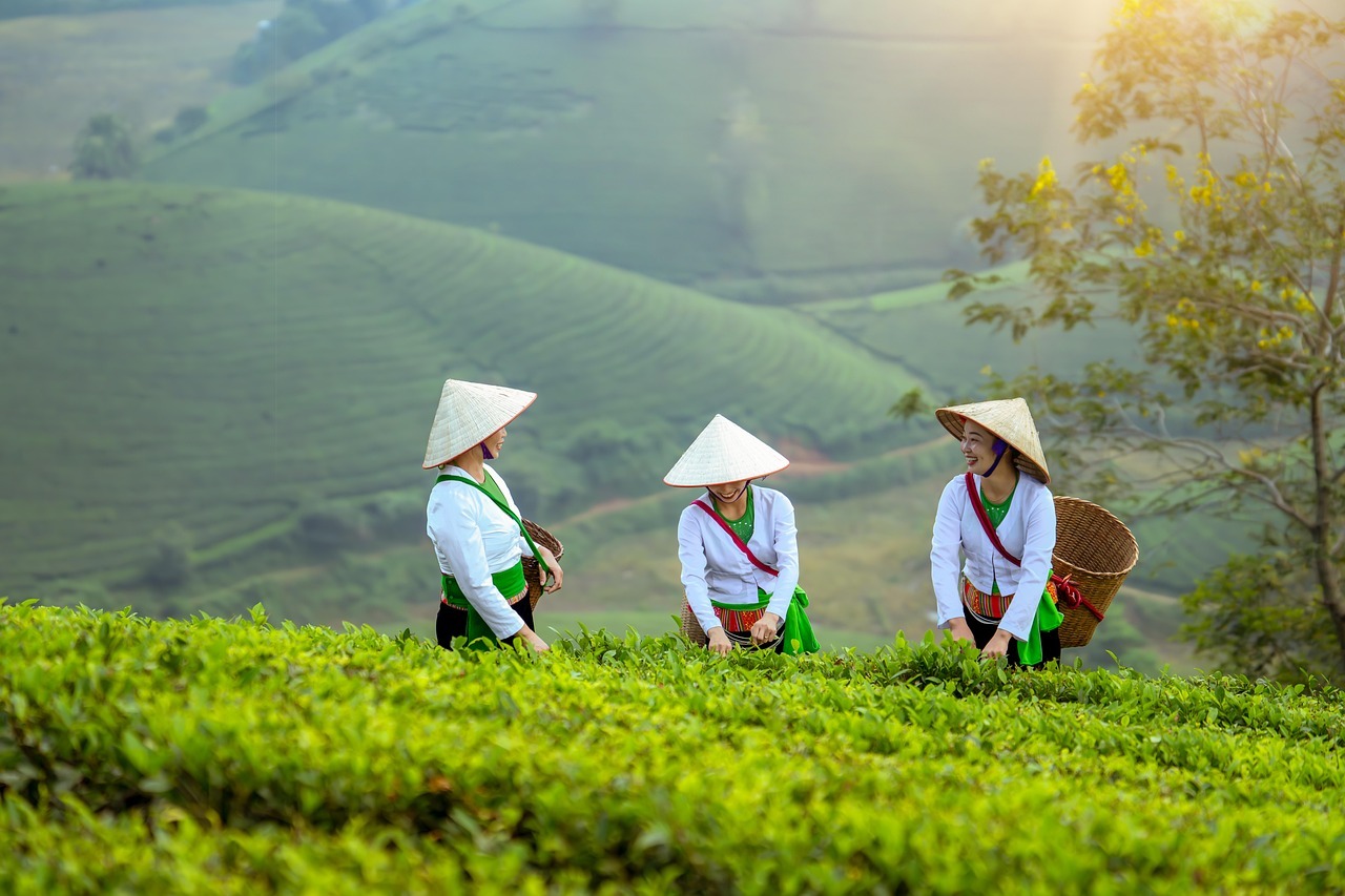 women farmer field agriculture 9152739